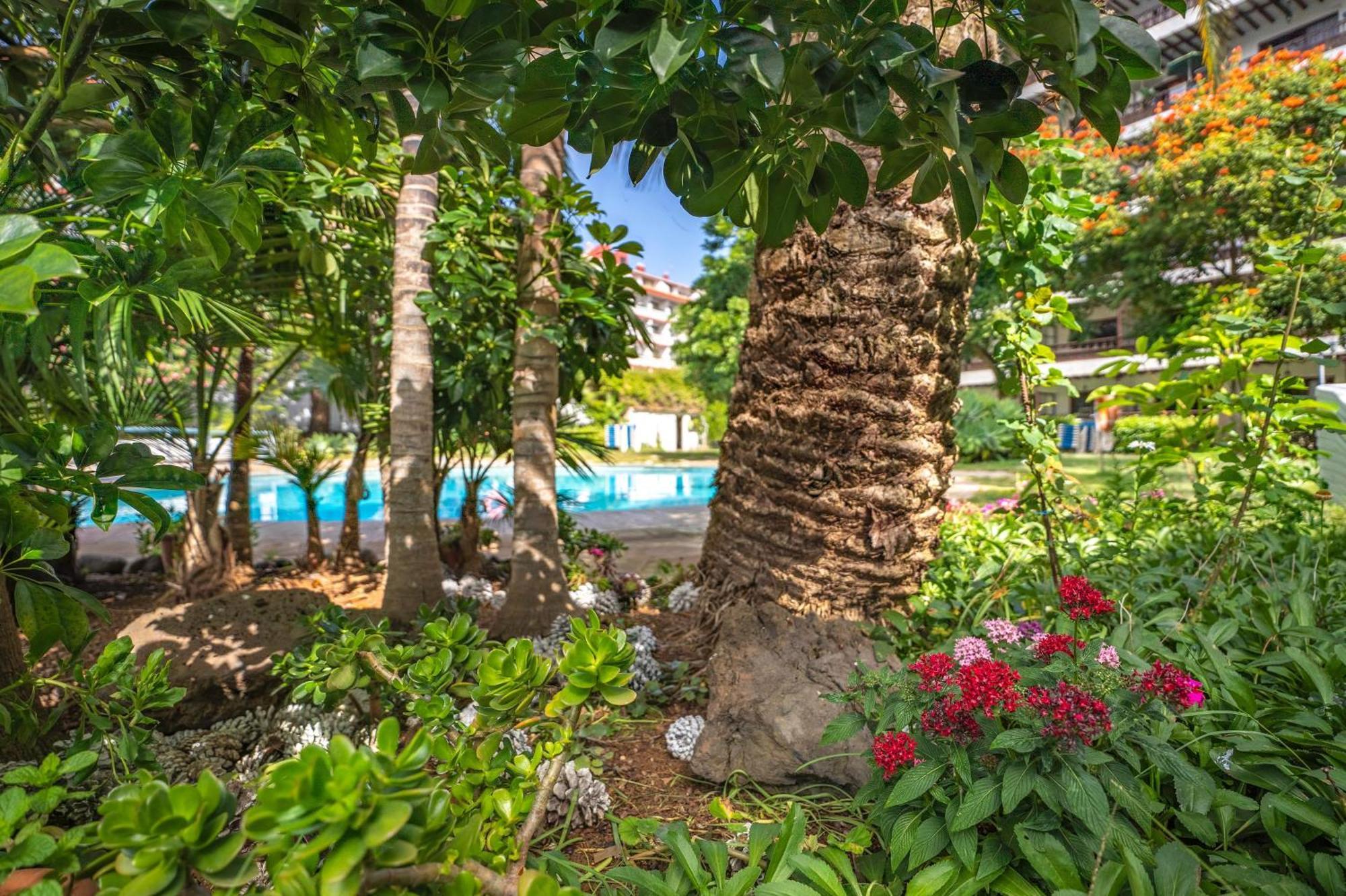 Coral Teide Mar Aparthotel Puerto de la Cruz  Exterior foto
